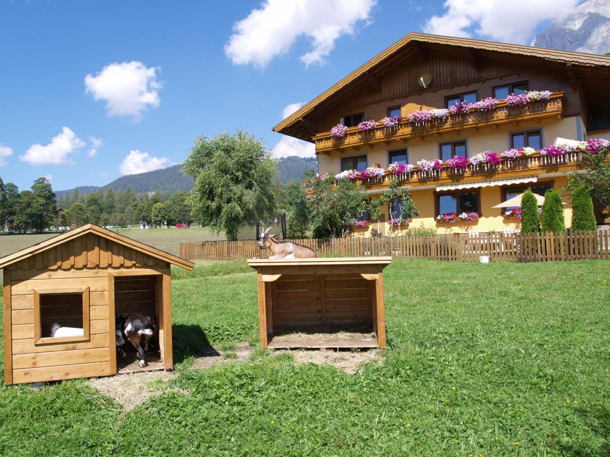 Ferienwohnung Alpenecho Ramsau am Dachstein Eksteriør billede